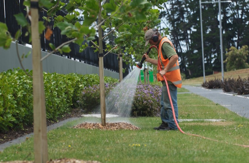 Watering is a key part of our aftercare maintenance.